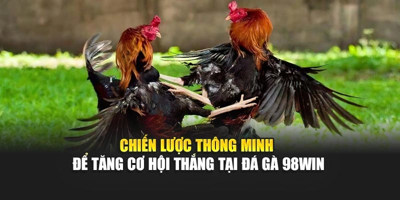 Chiến lược thông minh để tăng cơ hội thắng tại đá gà 98WIN