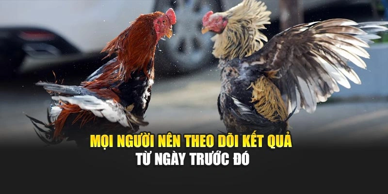 Mọi người nên theo dõi kết quả từ ngày trước đó