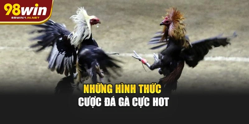 Những hình thức cược đá gà 98WIN cực hot